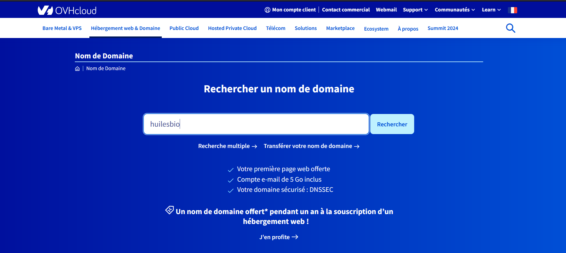 nom de domaine site ecommerce pas cher